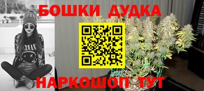 spice Гусиноозёрск