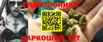 spice Гусиноозёрск