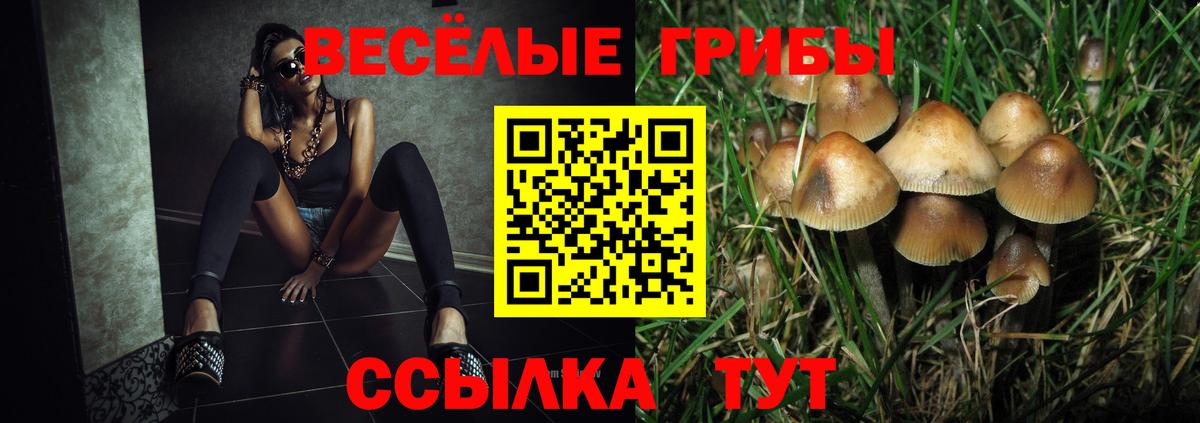 Галлюциногенные грибы GOLDEN TEACHER  Галлюциногенные грибы Magic Shrooms  Вход с VPN  Назрань 